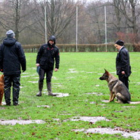 B-PokalFeb2020_1081