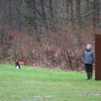 B-PokalFeb2020_1105