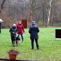 B-PokalFeb2020_1115
