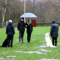 B-PokalFeb2020_1125