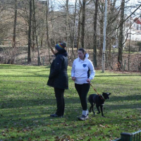 IMG_0436
