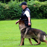 DagmarMalo2B_PokalJul20