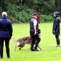 DagmarMalo3B_PokalJul20