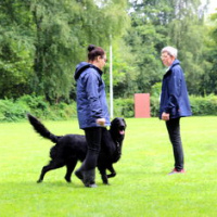 JosiBaxter3B_PokalJul20