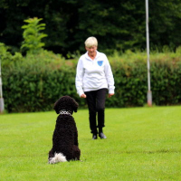 MariaSocke3B_PokalJul20