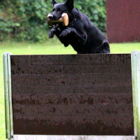 SandraVeroxs3B_PokalJul20