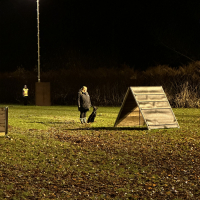 Foto-25.11.23-17-06-11