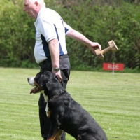 pruefgmai2014horst