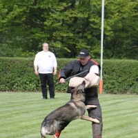 pruefgmai2014jens