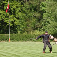 pruefgmai2014rani2