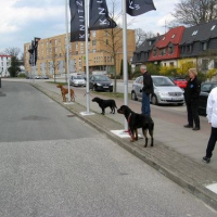 PruefungApr2015_0152