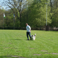 IMG_1000