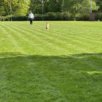 IMG_0674