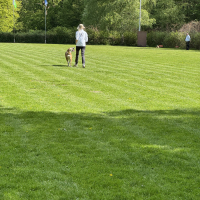 IMG_0684