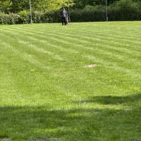 IMG_0726