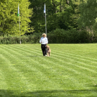 IMG_0784