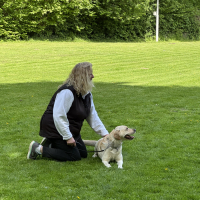IMG_0819