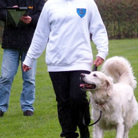 Odin1