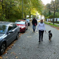 Drover2Verkehrssicherheit2