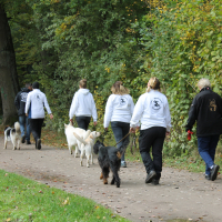 Herbstpruefung_2021-11