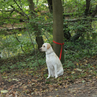 Herbstpruefung_2021-14