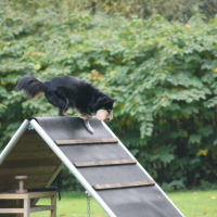 Herbstpruefung_2021-8