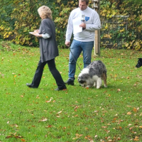 10_Wuerstchen-3