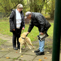IMG_6750