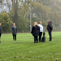 IMG_6758