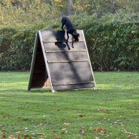 IMG_6847