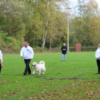 PruefungGHV2019Okt_0706