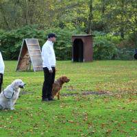 PruefungGHV2019Okt_0716