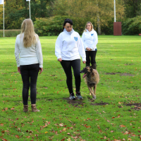 PruefungGHV2019Okt_0761