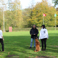 PruefungGHV2019Okt_0809
