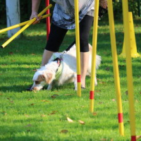 Sommerfest2016_16_09_10_1587