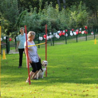 Sommerfest2016_16_09_10_1721