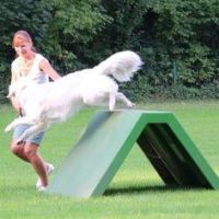Sommerfest2016_16_09_10_1864A