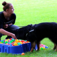Sommerfest2017_MichelleShadow4276