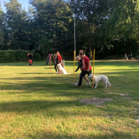 IMG-20220903-WA0044