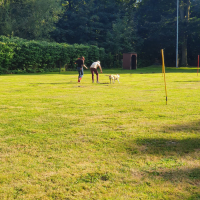 IMG-20220903-WA0059