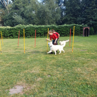 IMG-20220903-WA0063