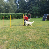 IMG-20220903-WA0066