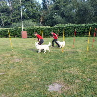 IMG-20220903-WA0067