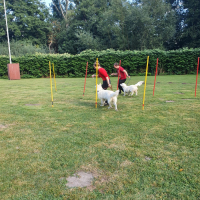 IMG-20220903-WA0068
