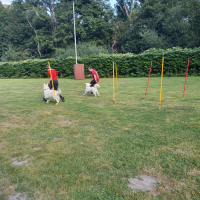 IMG-20220903-WA0069