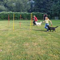 IMG-20220903-WA0071