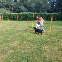 IMG-20220903-WA0072