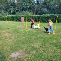IMG-20220903-WA0074