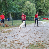 IMG-20220918-WA0005