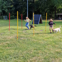 IMG-20220918-WA0008